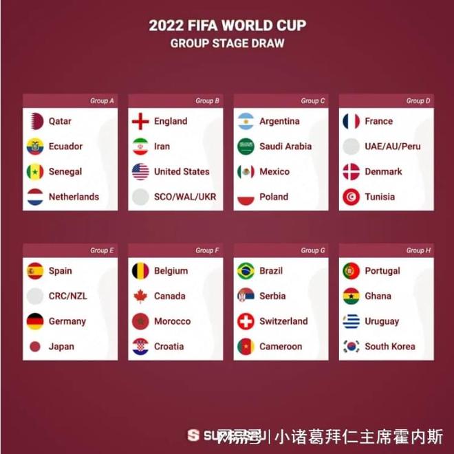 女子国手预