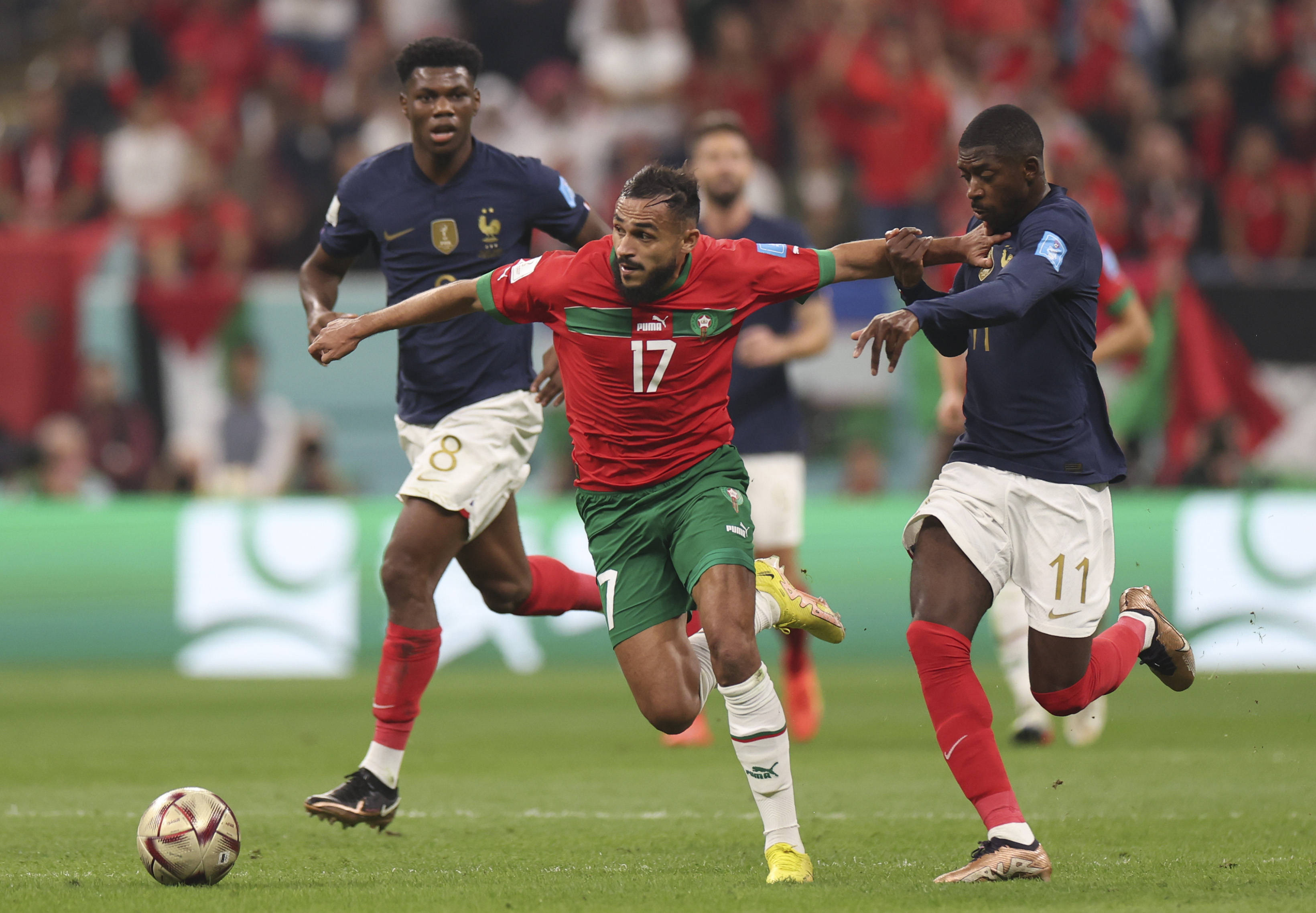 在今年的预 在今年的预